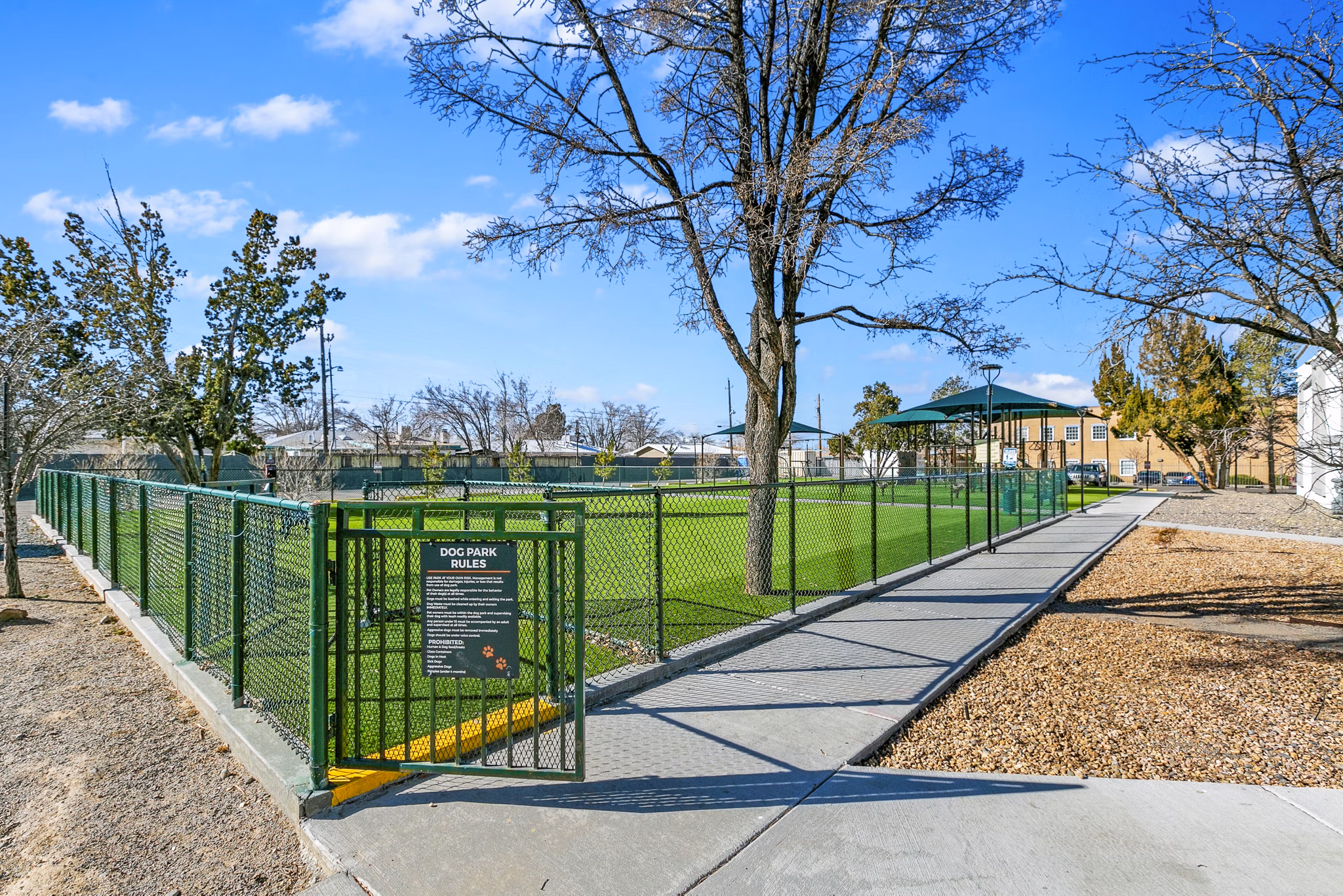 Dog park with agility equipment at Tesota Morningside Apartments, a Greystar community offering pet-friendly amenities