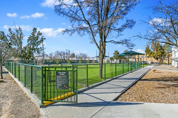 Dog park with agility equipment at Tesota Morningside Apartments, a Greystar community offering pet-friendly amenities