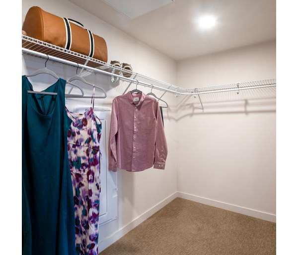 Spacious closet with ample storage at Paloma Apartments