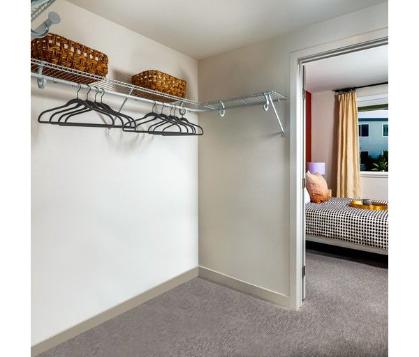 Walk-in closet with custom shelving at Paloma Apartments