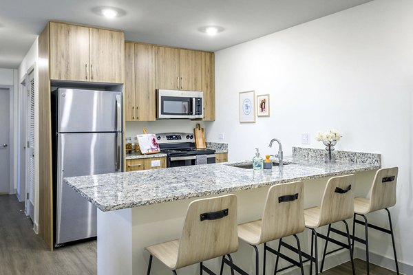 kitchen at Union on San Antonio Apartments