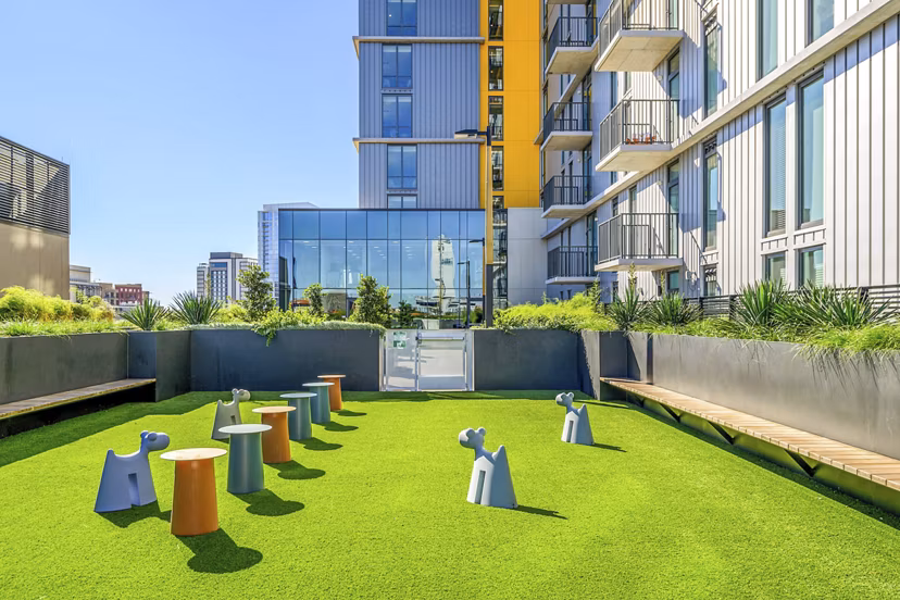 dog park at Union on San Antonio Apartments