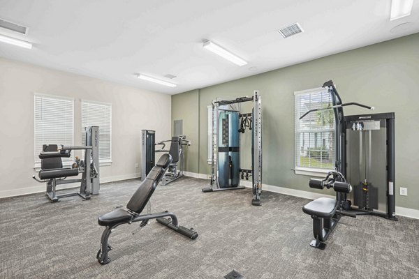 fitness center at Ailsa Village Apartments 