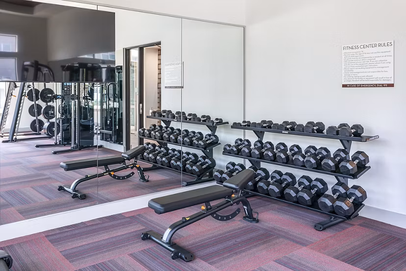 State-of-the-art fitness center with dumbbell racks and benches in luxury apartments