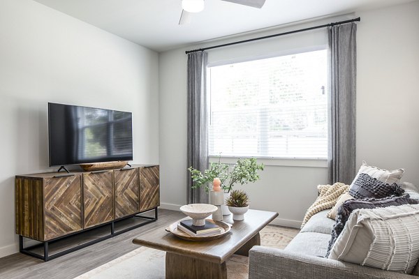 Modern living room featuring a TV, sofa, and stylish decor in luxury apartments