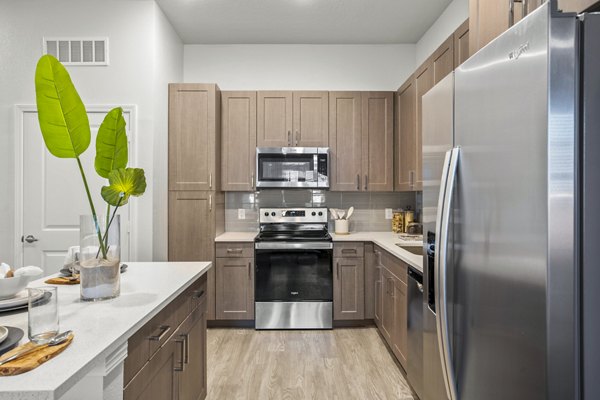 Modern kitchen with stainless steel appliances at Sanctuary at Daytona Apartments, featuring elegant countertops and cabinetry