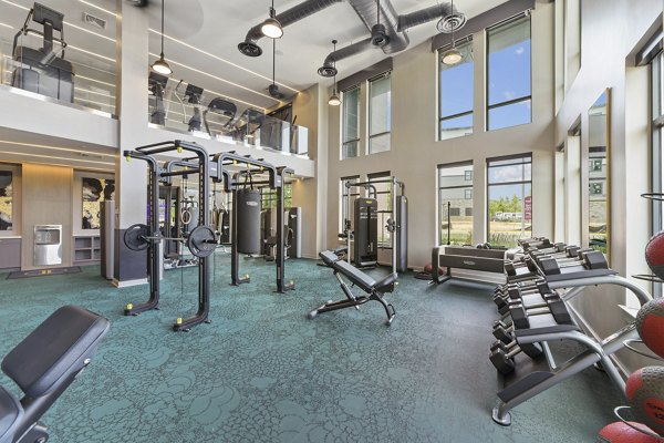 fitness center at The Ian Apartments