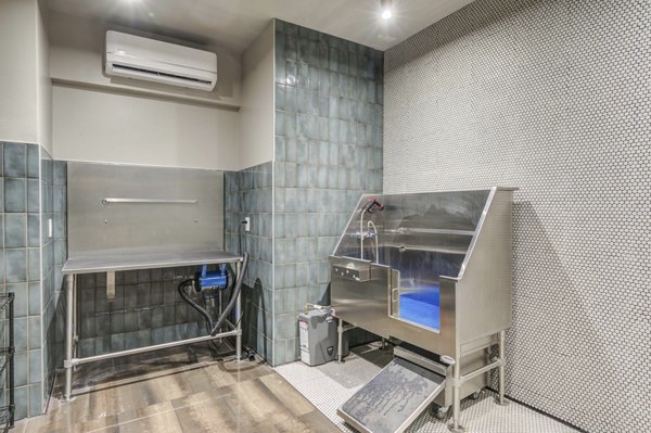 Convenient dog wash station at The Ian Apartments, a Greystar luxury community, perfect for pet owners