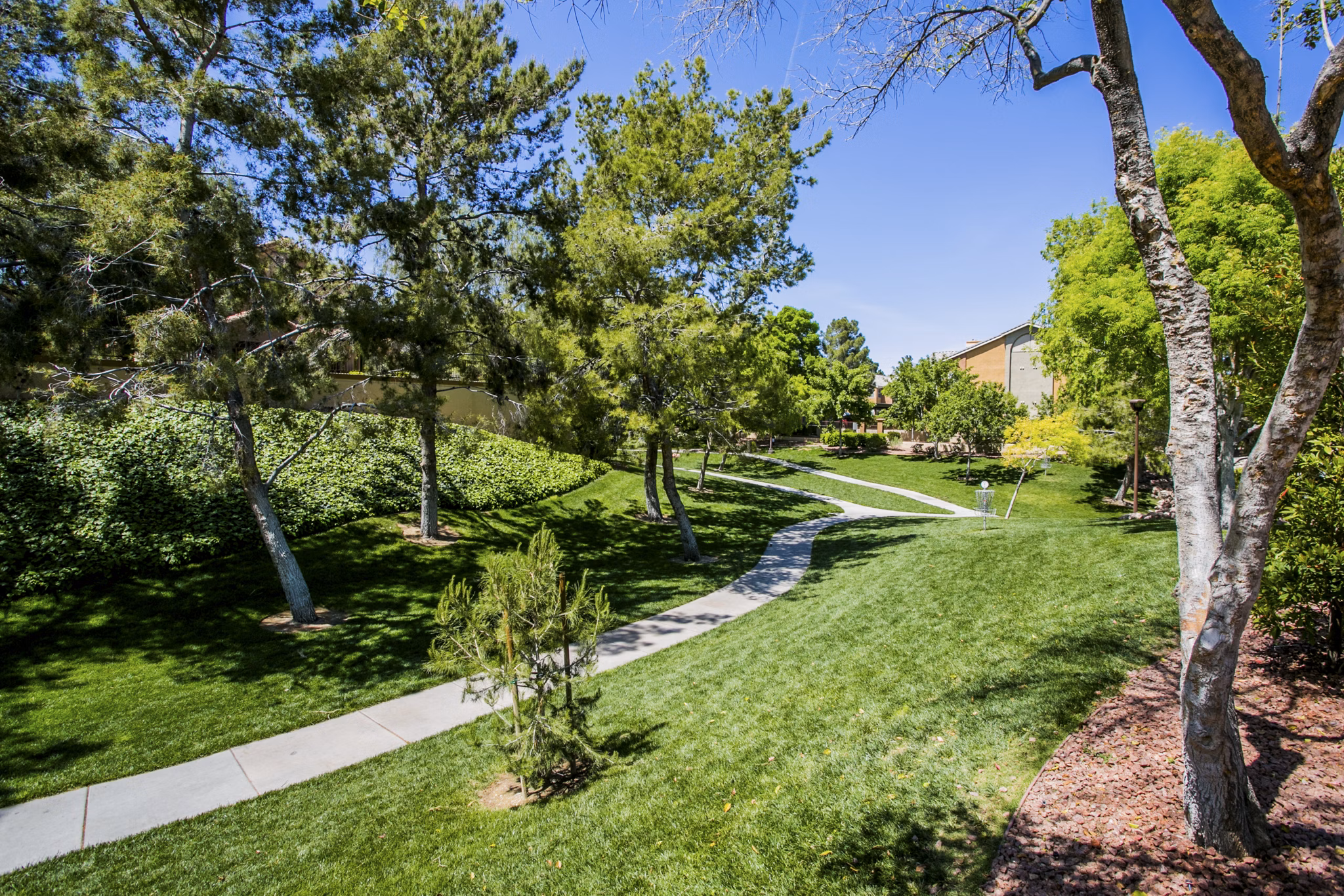 recreational area at The Layne at Peccole Ranch Apartments 