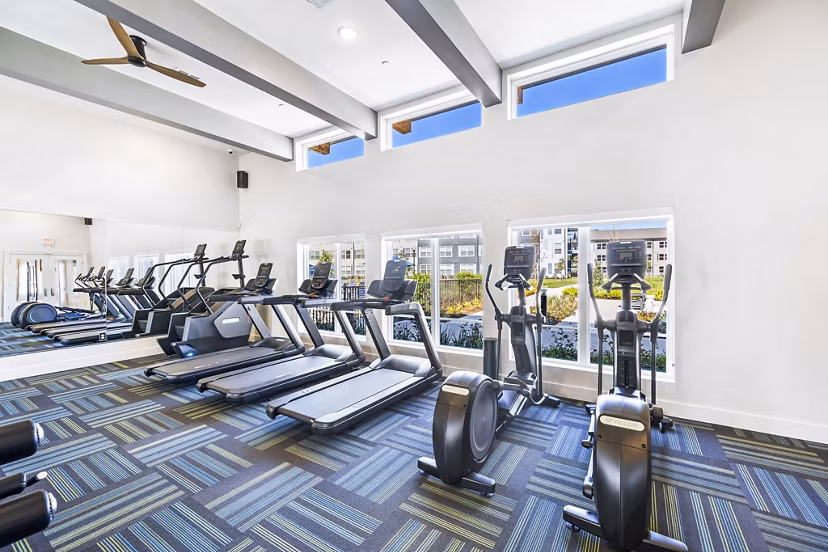 State-of-the-art fitness center equipped with modern gym facilities at Birchway Spring Cypress Apartments