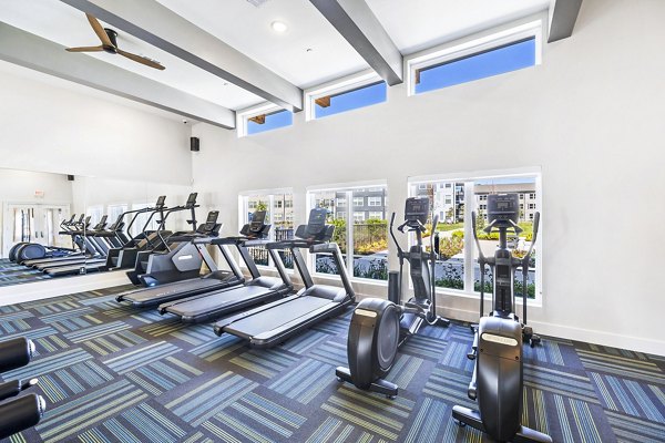 State-of-the-art fitness center equipped with modern gym facilities at Birchway Spring Cypress Apartments