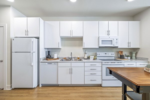 Modern kitchen with stainless steel appliances at Birchway Spring Cypress Apartments luxury community
