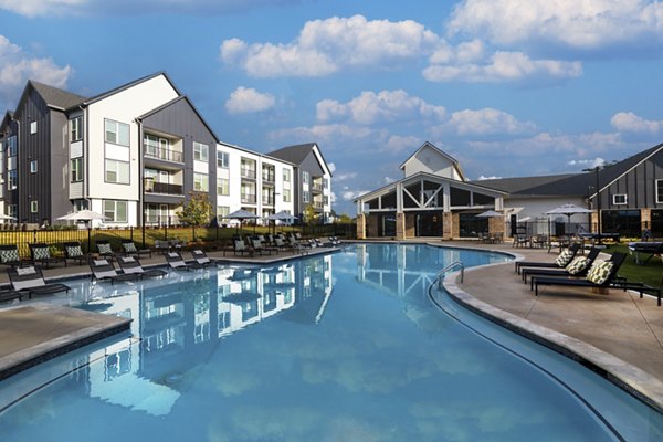 Resort-style pool surrounded by loungers at Elan Brookwood Apartments