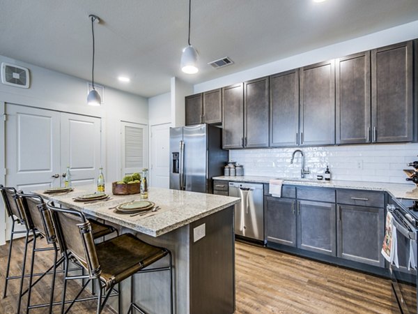 Modern kitchen with stainless steel appliances and island in Vecina Apartment Villas, luxury living space in Greystar community