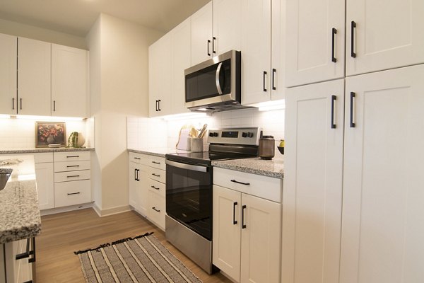 Sleek kitchen featuring stainless steel appliances at Sage North Apartments, a Greystar luxury property