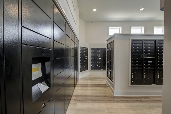 Mail room with modern design and organized package lockers at Prose Prominence Apartments
