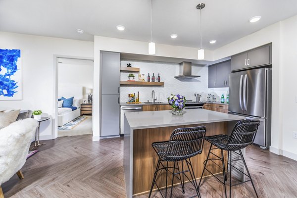 Modern kitchen with stainless steel appliances at Aliso Apartments, Greystar luxury living