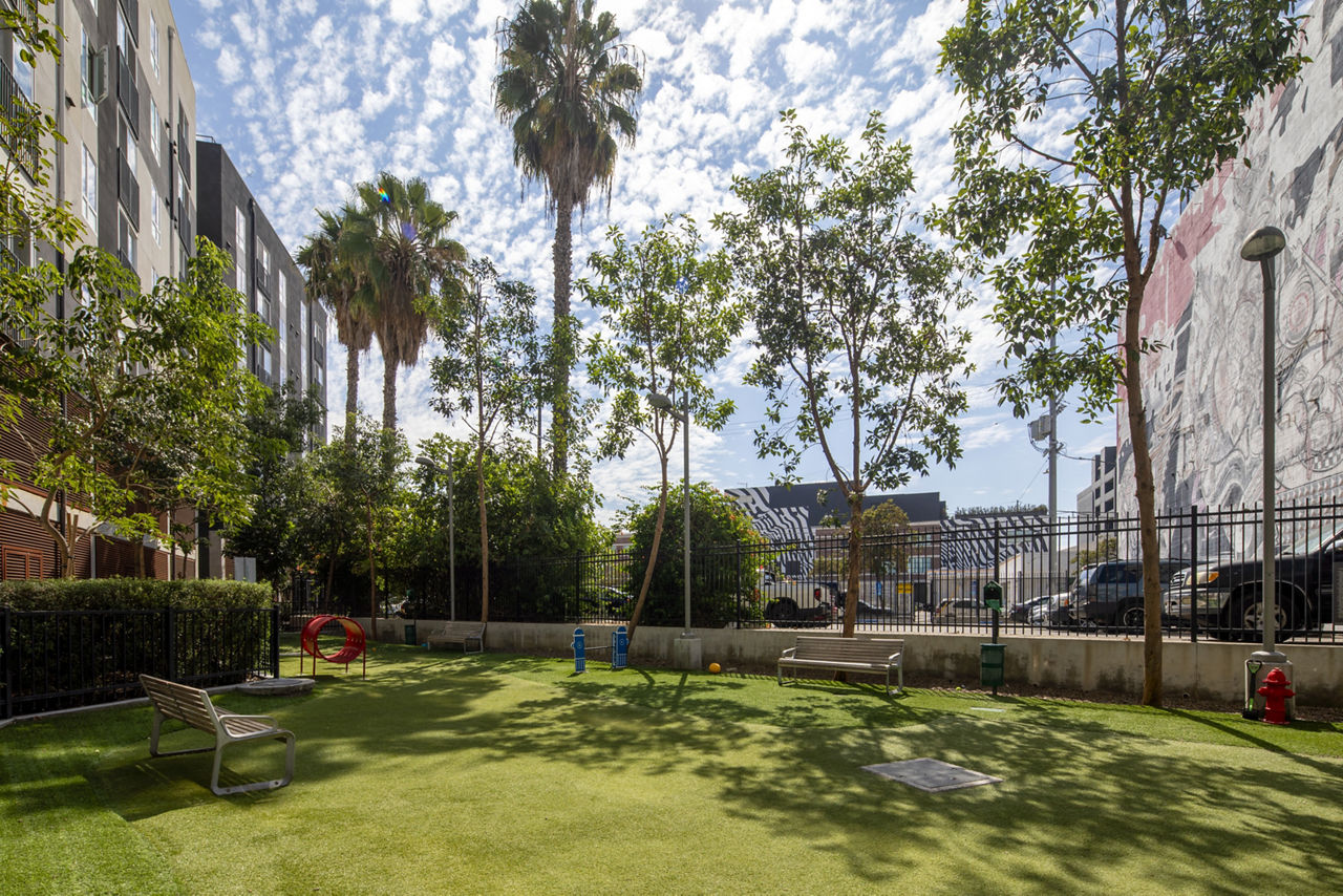 Dog park at Aliso Apartments