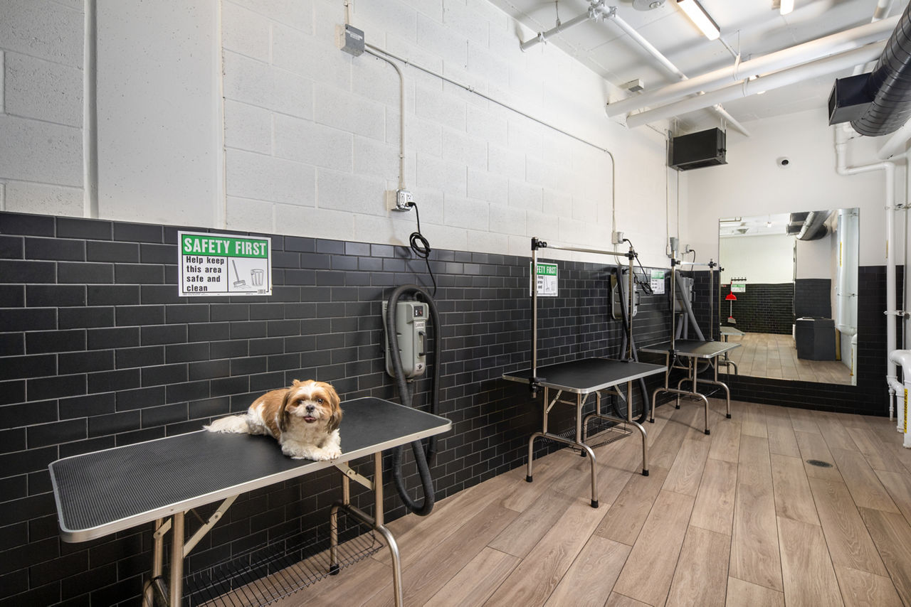 Pet wash at Aliso Apartments (2 of 2)