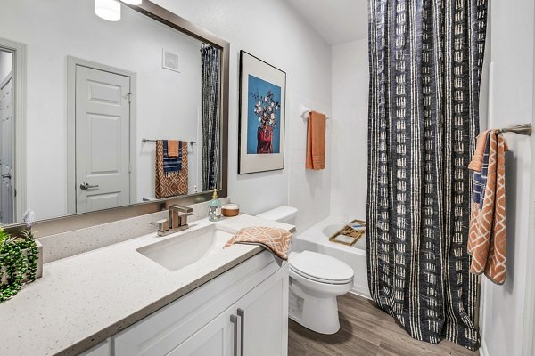 Bathroom featuring modern fixtures and elegant design at Aventura Clear Creek Apartments