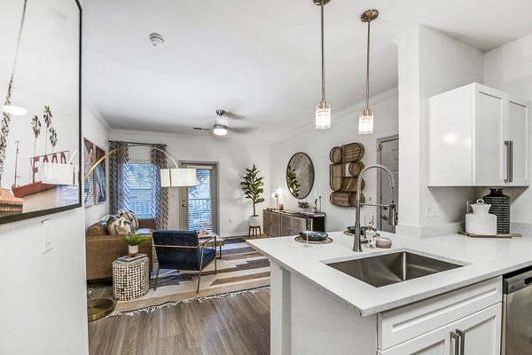 kitchen at Aventura Clear Creek Apartments