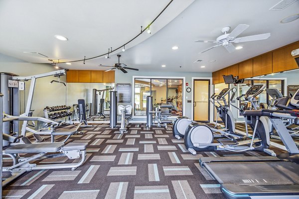 Fitness center with modern equipment at Aventura Falcon Valley Apartments