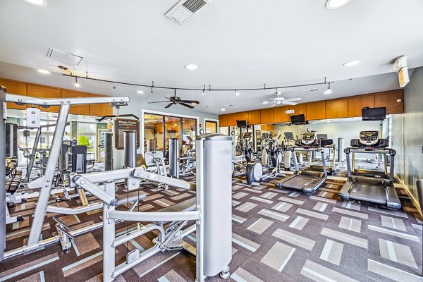 Modern fitness center with state-of-the-art equipment at Aventura Falcon Valley Apartments for luxury workouts