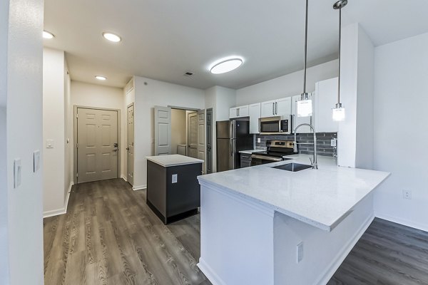 Modern kitchen with stainless steel appliances at Aventura Falcon Valley Apartments, luxurious living by Greystar