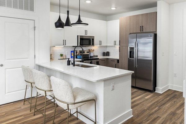 Stylish kitchen featuring modern appliances and granite countertops at Rye Charlotte Ave Apartments