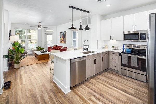 Modern kitchen with stainless steel appliances in Rye Charlotte Ave Apartments, luxury living by Greystar