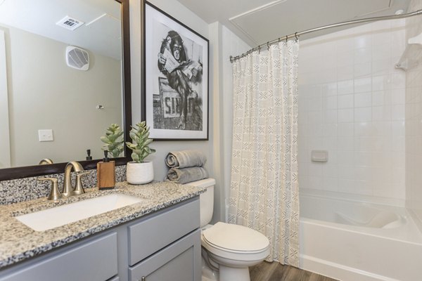 Modern bathroom with elegant fixtures at Reserve at Lake Jackson Apartments, offering luxury living in a serene environment