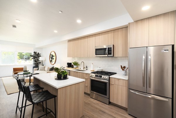 Modern kitchen with stainless steel appliances at The Hayden Apartments, Greystar luxury property in a vibrant community