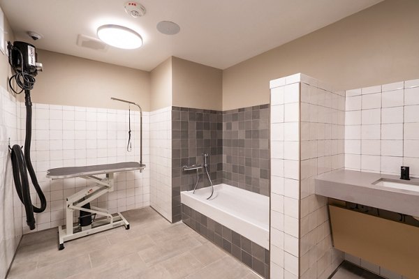 Dog wash station for convenience at The Hayden Apartments