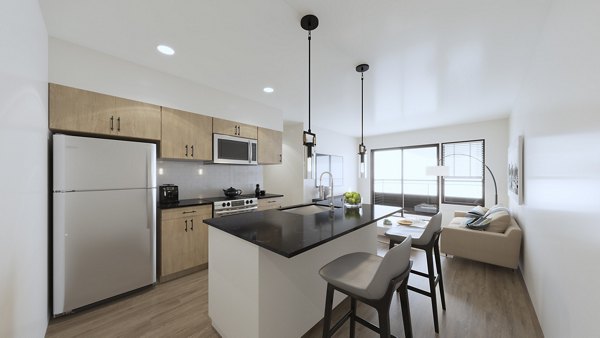 Modern kitchen featuring stainless steel appliances and quartz countertops in Hagert and York Apartments luxury community