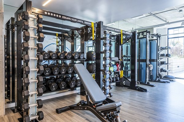 Modern fitness center with state-of-the-art equipment at Ventana Residences apartments