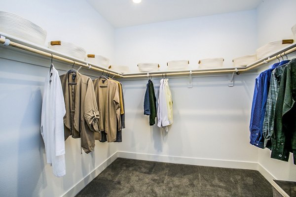 Spacious bedroom closet with custom shelving at Townes at Peace Way Apartments