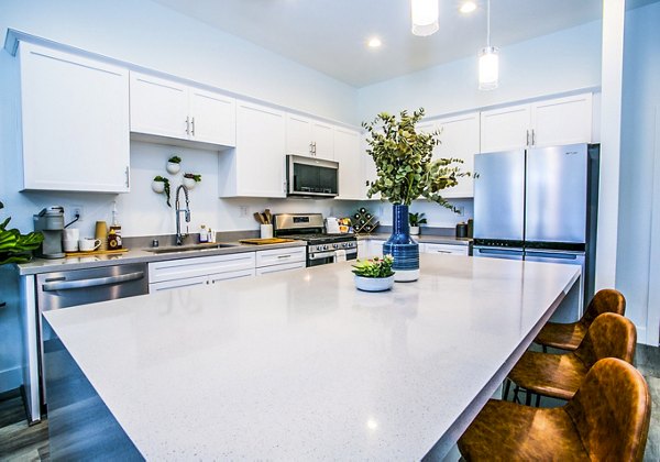 Modern kitchen with stainless steel appliances in Townes at Peace Way Apartments, Greystar luxury apartments