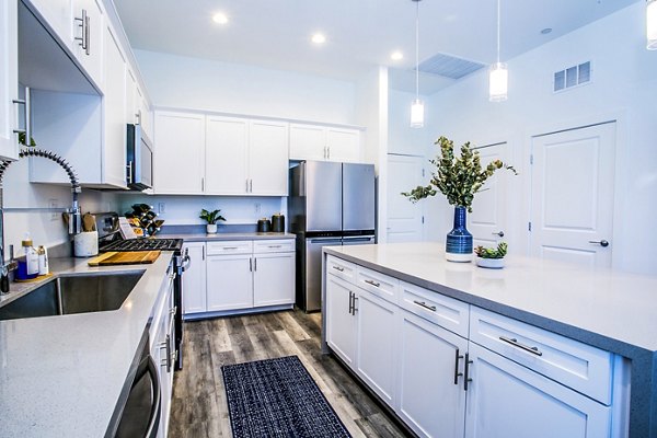 Modern kitchen featuring stainless steel appliances at Townes at Peace Way Apartments