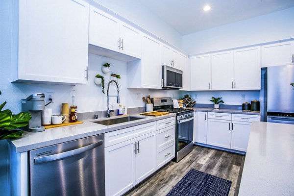 Modern kitchen with granite countertops in Townes at Peace Way Apartments