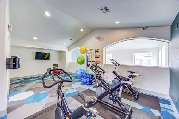 fitness center at Escena Apartments