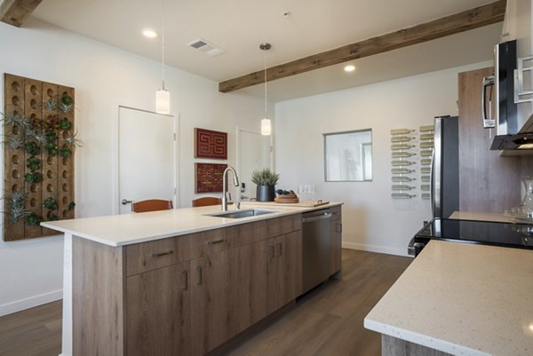 Contemporary kitchen with stainless steel appliances in Encanto at Mesa Del Sol Apartments