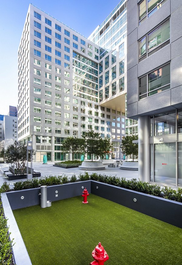 Dog-friendly area at a modern dog park at 1177 Market Apartments