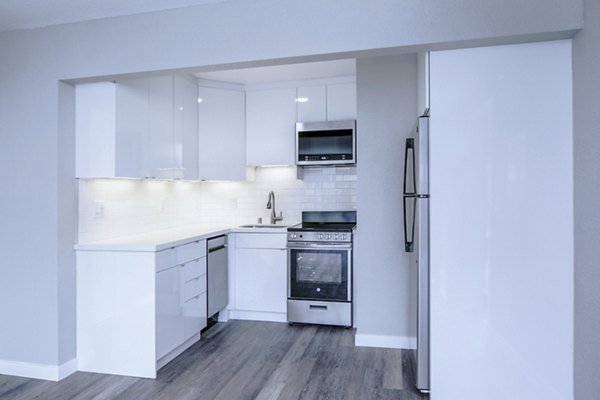 Modern kitchen with stainless steel appliances at 230 Dolores Apartments, luxury living by Greystar