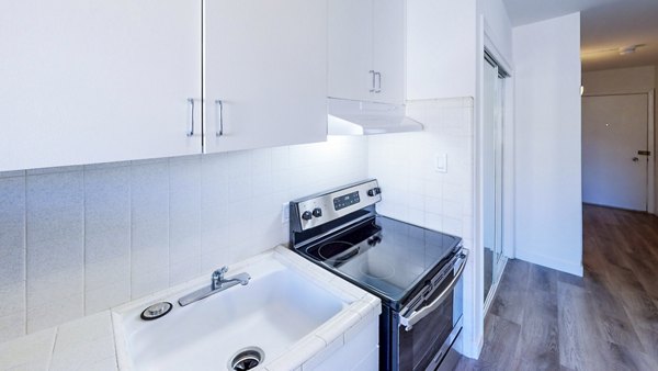 Modern kitchen with stainless steel appliances and quartz countertops at 230 Dolores Apartments, luxury living in San Francisco