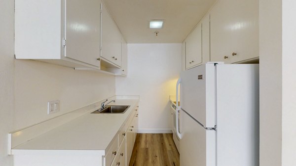 kitchen at 240 Dolores Apartments