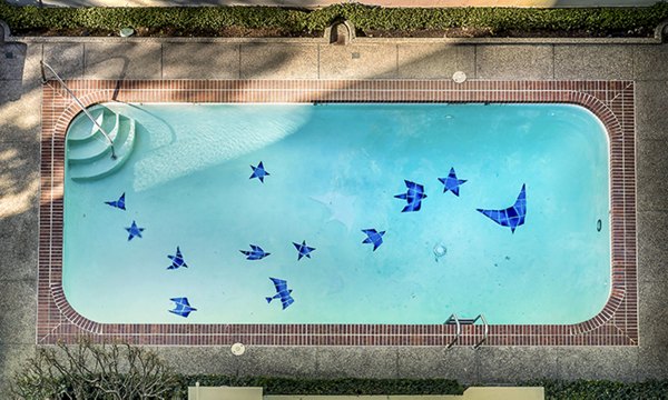 Rooftop pool with city views at Crystal Tower Apartments
