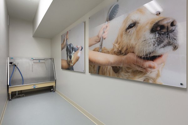 Dog wash station at Baxter on Broadway luxury apartments with convenient pet care amenities