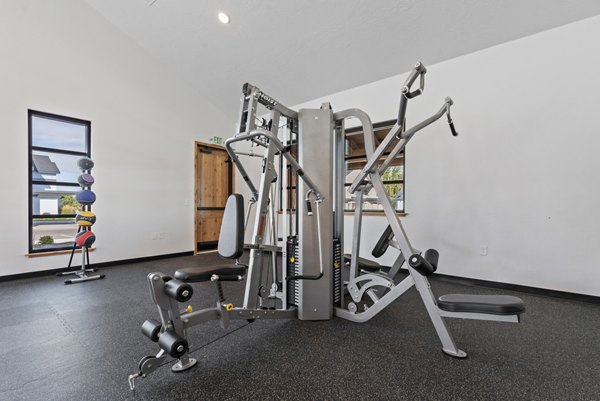 fitness center at Amazon Falls Apartments