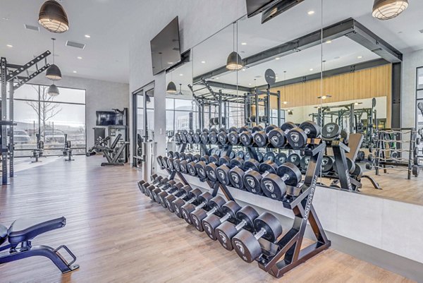 State-of-the-art fitness center with modern equipment at Reveal Apartments
