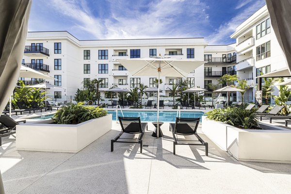 Luxurious pool area with loungers and palm trees at Hollywood Park Apartments, offering premium relaxation options in a vibrant setting